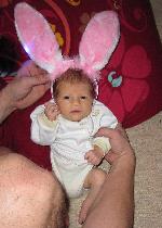 Alwinh�schen liebt seine Pl�schohren!
